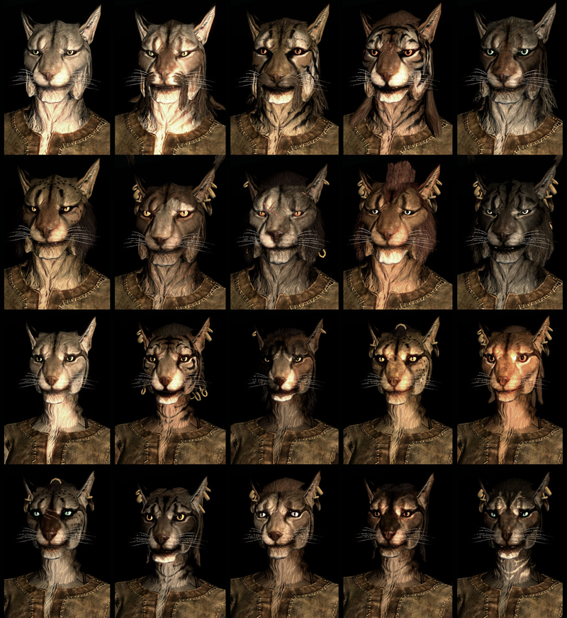 Illustration for article titled Twenty Different Faces For Each of Skyrim's Races